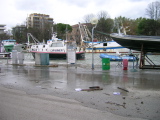 DSCN0715.JPG
