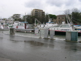DSCN0716.JPG