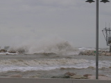 DSCN0733.JPG