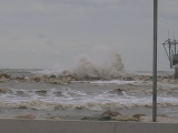 DSCN0734.JPG
