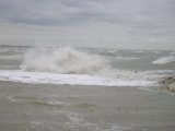 DSCN0736.JPG